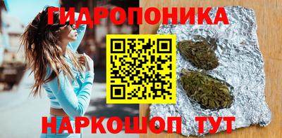 СК Обь
