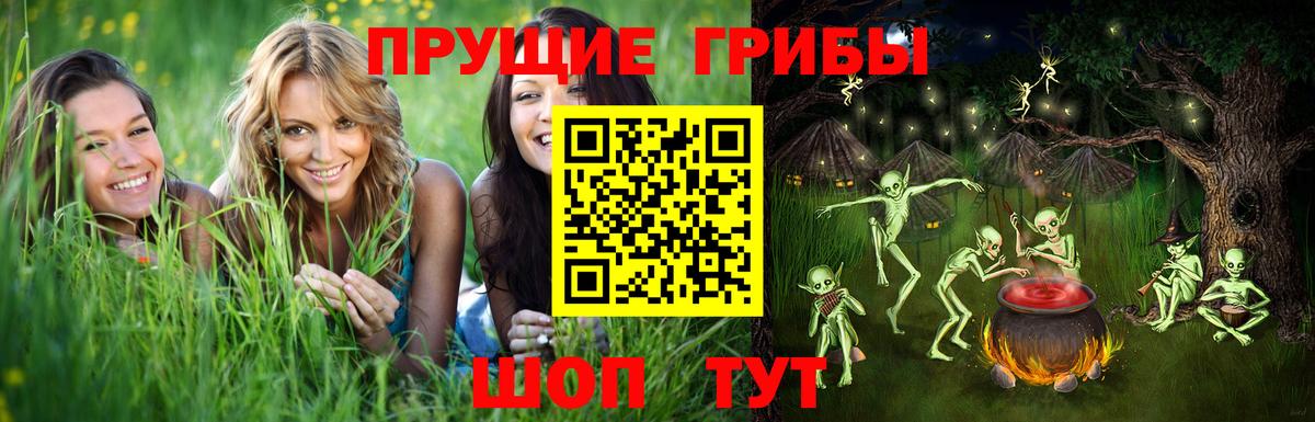 Галлюциногенные грибы Cubensis  Галлюциногенные грибы Cubensis  цена   Вход с VPN  Спасск-Дальний 